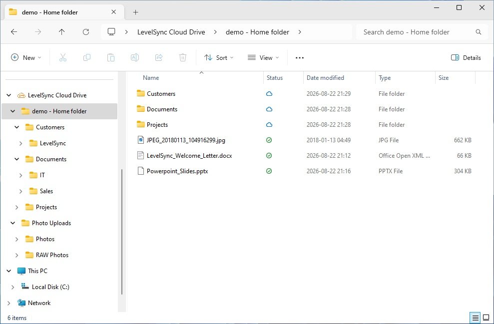 Der Windows-Explorer mit LevelSync Cloud Drive als eingebundenem Netzlaufwerk, mit Synchronisierungsstatus pro Datei.
