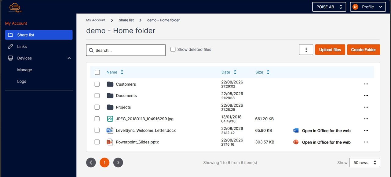 The LevelSync web interface showing a demo home folder with shared folders and files.